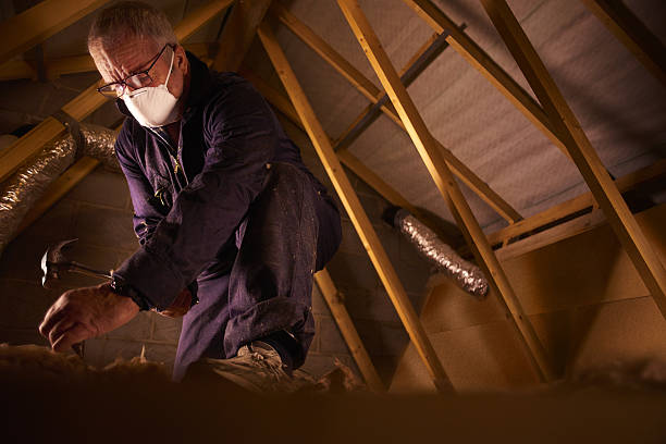 Best Insulation Maintenance and Repair in Stevensville, MI